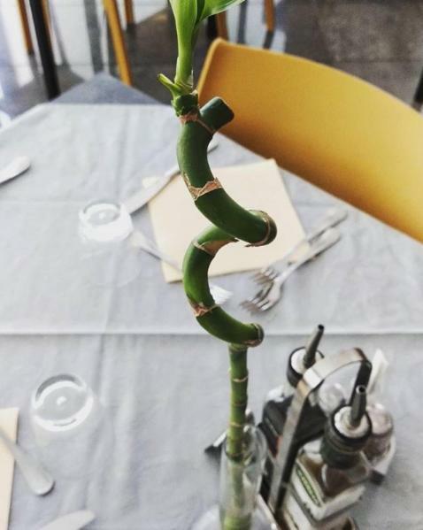 רימיני Hotel Etoile מראה חיצוני תמונה